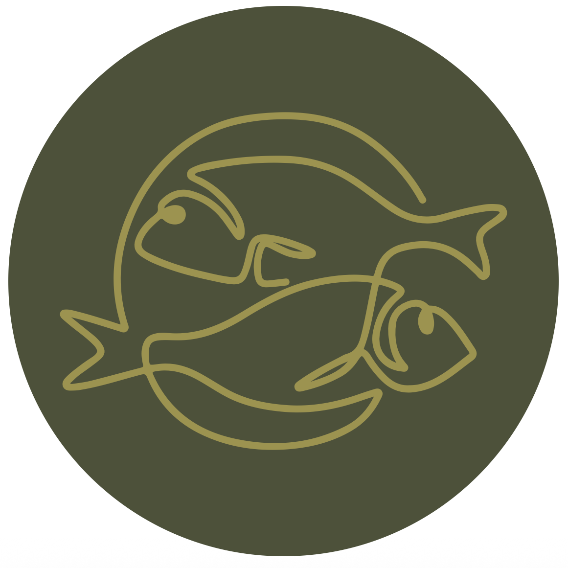 Pescados y Mariscos Elaborados - Categoría de productos