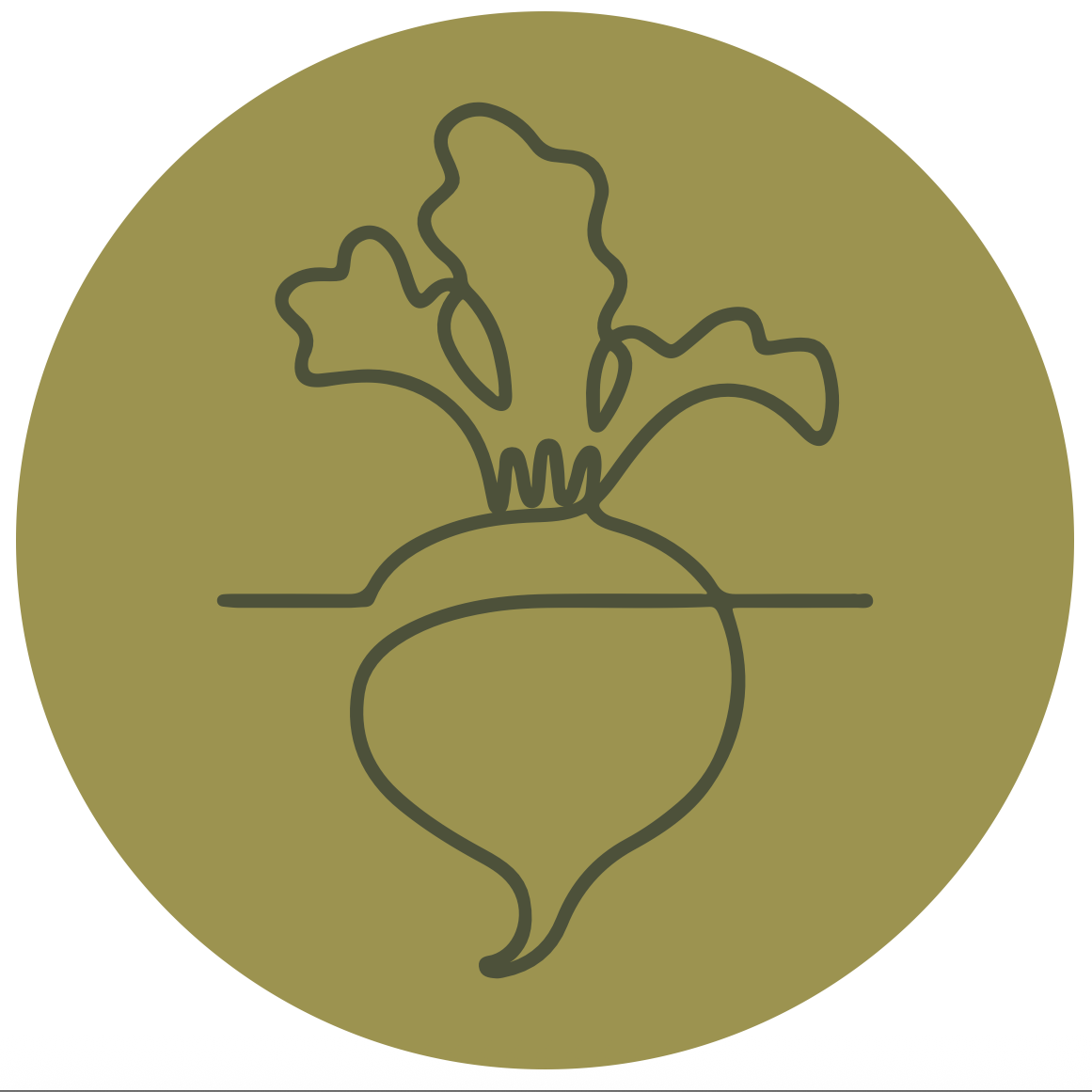 Platos de Base Vegetal - Categoría de productos